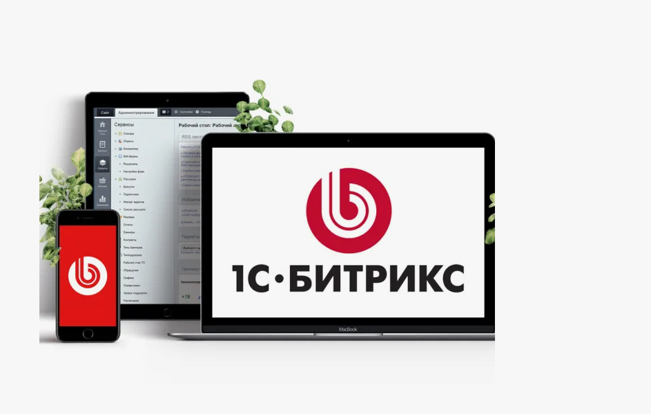 Как прописать мета-тег для подтверждения прав для вебмастера в CMS 1C Bitrix